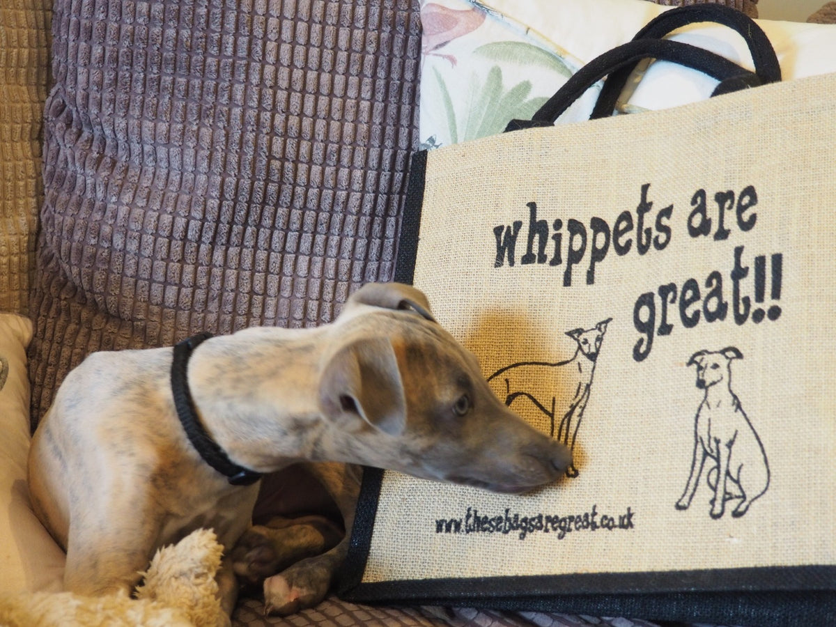 Whippet bag hot sale